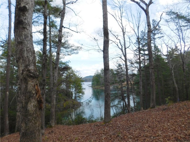 Property image 2 at Lot 12 Old Chapman Bridge Road, Salem, SC 29676