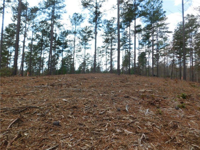 Property image 3 at Lot 12 Old Chapman Bridge Road, Salem, SC 29676