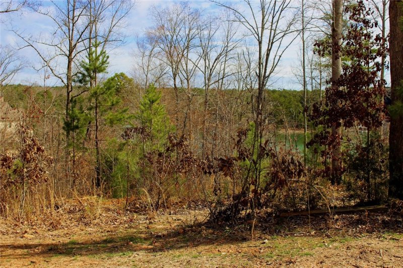 Property image 2 at Lot 31 Moonlight Bay, Seneca, SC 29672