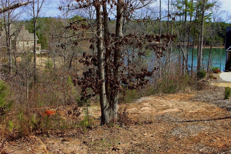 Property image 3 at Lot 31 Moonlight Bay, Seneca, SC 29672