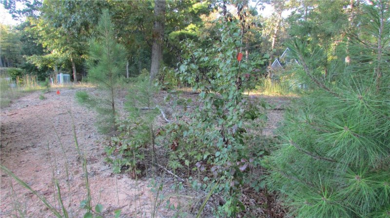 Property image 3 at 00 Sixteenth Circle, Walhalla, SC 29691