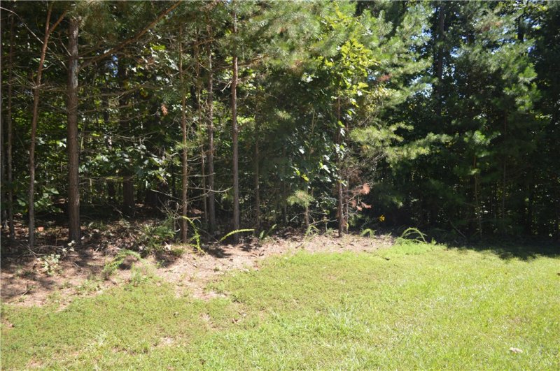 Property image 3 at Lot 197 Grey Pebble Court, Seneca, SC 29672