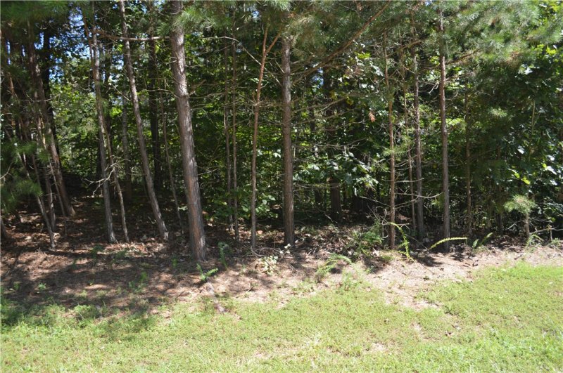 Property image 4 at Lot 197 Grey Pebble Court, Seneca, SC 29672