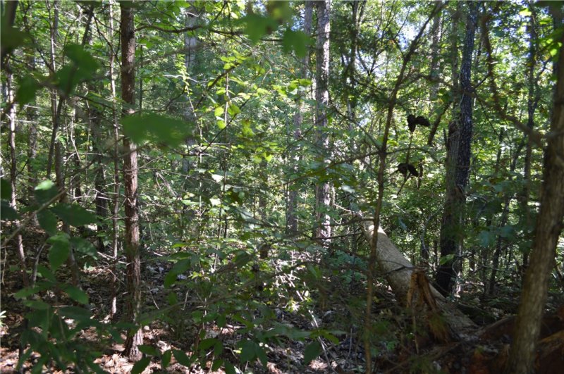 Property image 5 at Lot 197 Grey Pebble Court, Seneca, SC 29672