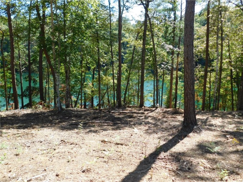 Property image 2 at Lot 20 Old Chapman Bridge Road, Salem, SC 29676