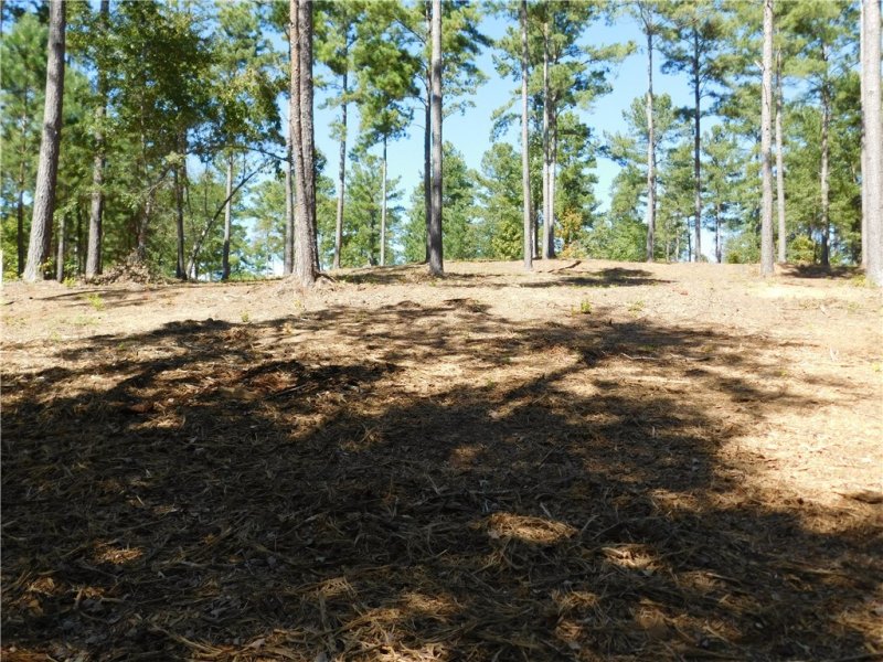 Property image 3 at Lot 20 Old Chapman Bridge Road, Salem, SC 29676