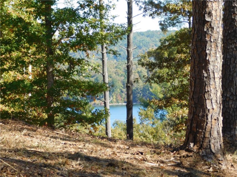 Property image 2 at Lot 6 Old Chapman Bridge Road, Salem, SC 29676