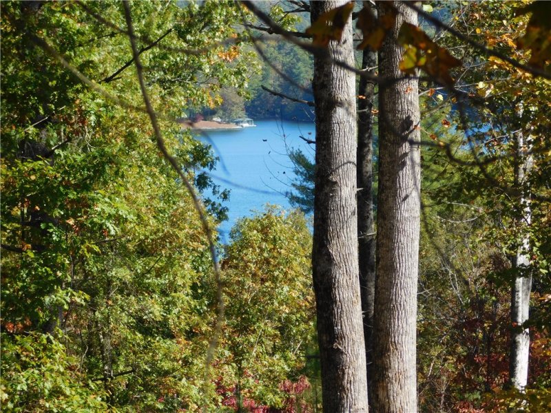 Property image 3 at Lot 6 Old Chapman Bridge Road, Salem, SC 29676