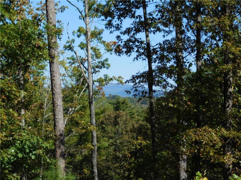 Property image 4 at Lot 6 Old Chapman Bridge Road, Salem, SC 29676