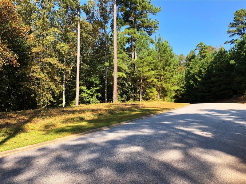Property image 2 at Lot 45 Riverstone Drive, Salem, SC 29676