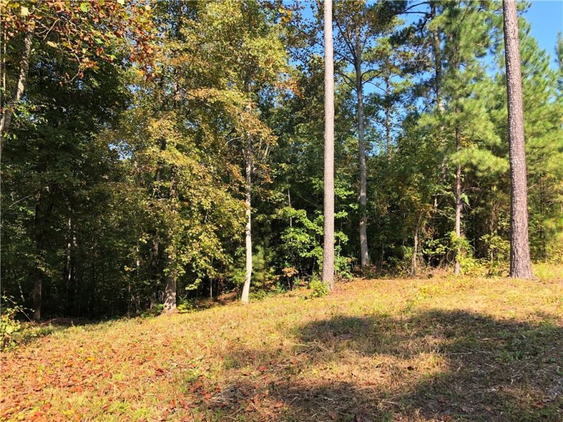 Property image 4 at Lot 45 Riverstone Drive, Salem, SC 29676