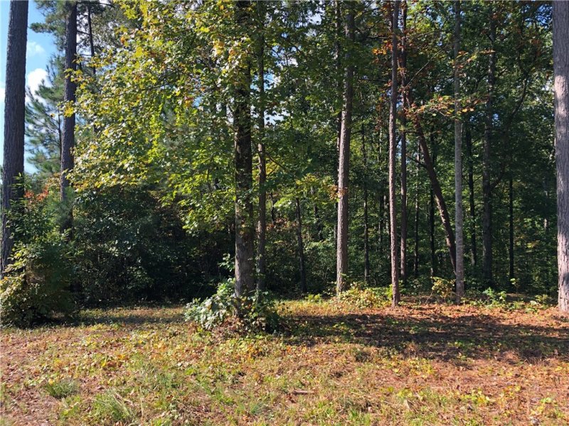 Property image 5 at Lot 45 Riverstone Drive, Salem, SC 29676