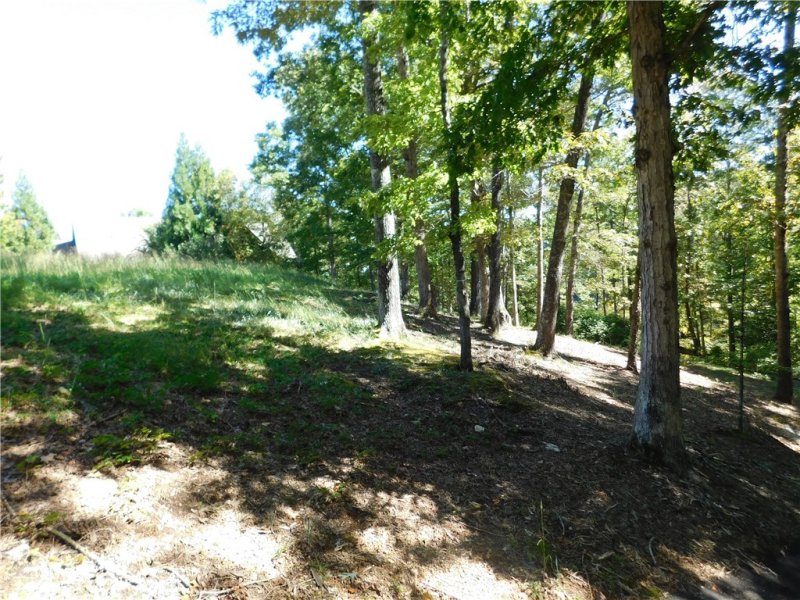 Property image 2 at 625 River Birch Way, Salem, SC 29676