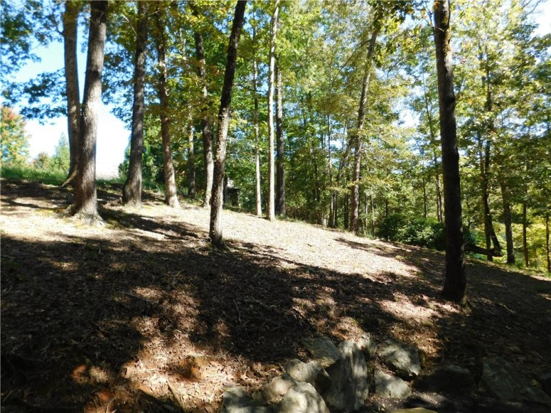 Property image 3 at 625 River Birch Way, Salem, SC 29676