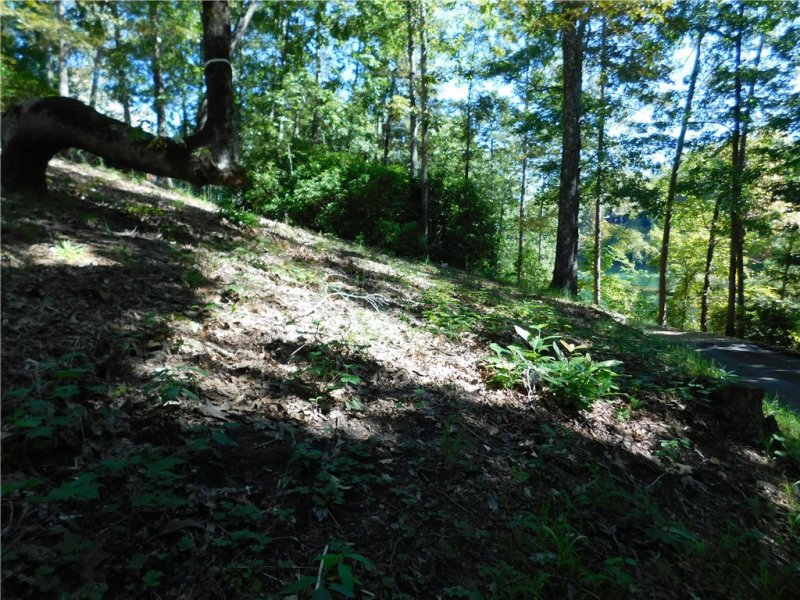 Property image 4 at 625 River Birch Way, Salem, SC 29676