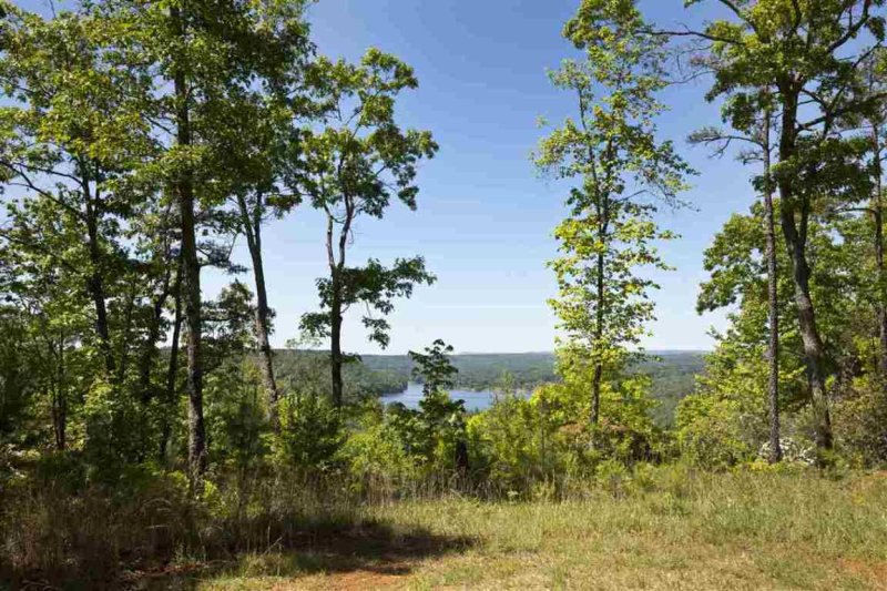 Property image 4 at 205 Appalachian Trail, Sunset, SC 29685