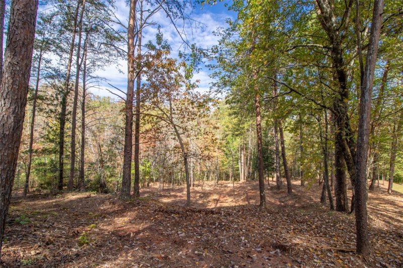 Property image 4 at Lot 124 Inwood Court, Seneca, SC 29672