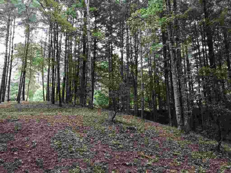 Property image 4 at 118 Club Cove Way, Sunset, SC 29685