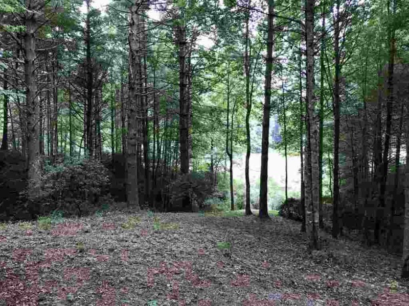 Property image 5 at 118 Club Cove Way, Sunset, SC 29685