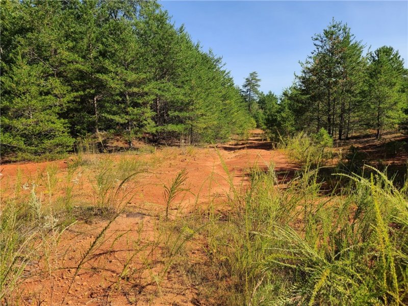 Property image 2 at 300 Golden Springs Lane, Liberty, SC 29657