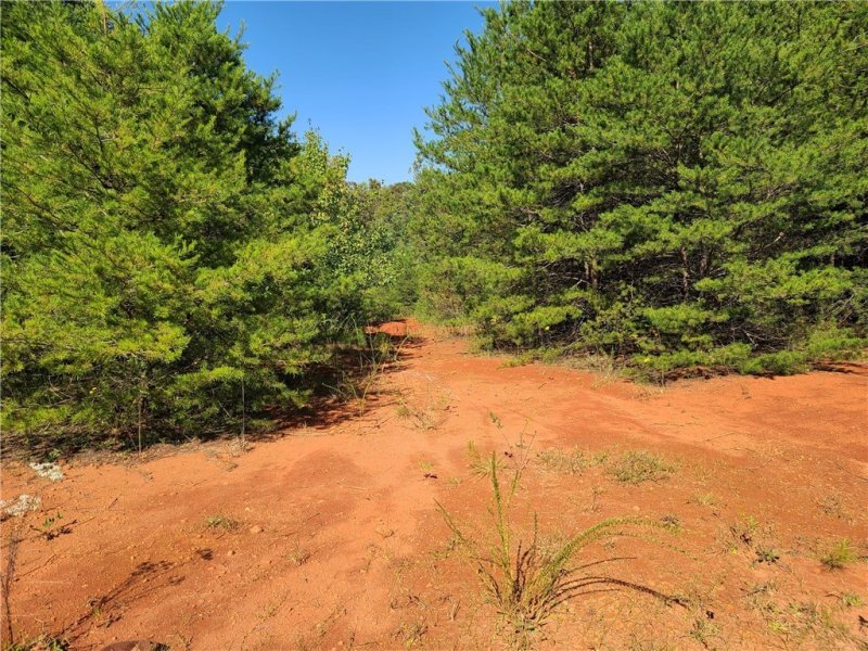 Property image 4 at 300 Golden Springs Lane, Liberty, SC 29657