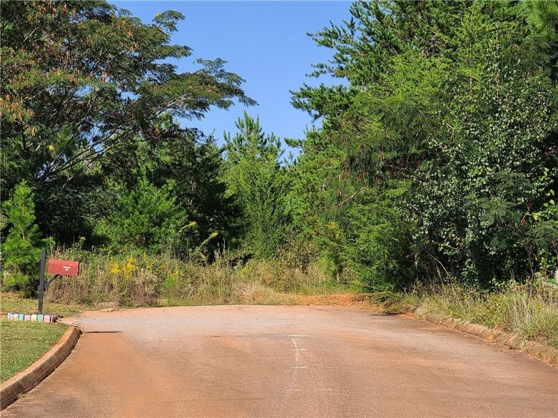 Property image 5 at 300 Golden Springs Lane, Liberty, SC 29657