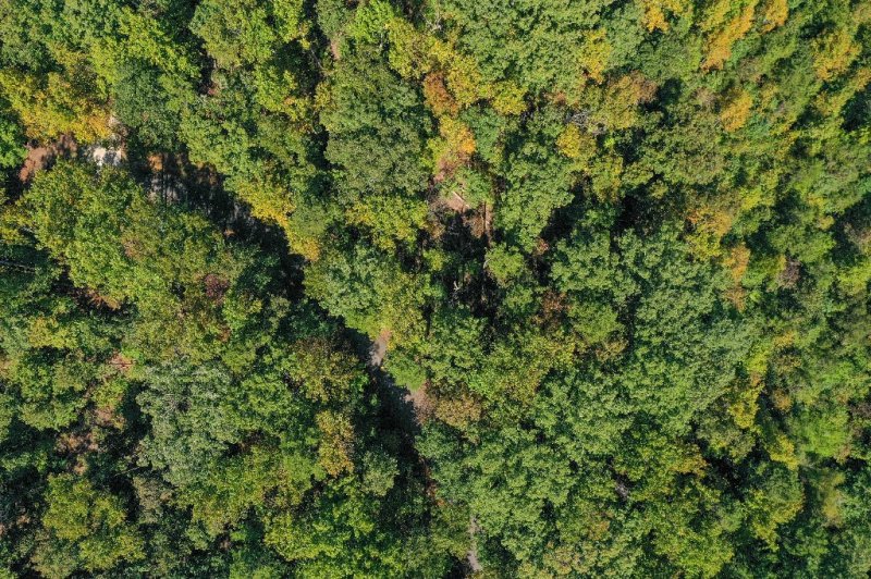 Property image 3 at 157 Summit Pine, Sunset, SC 29685