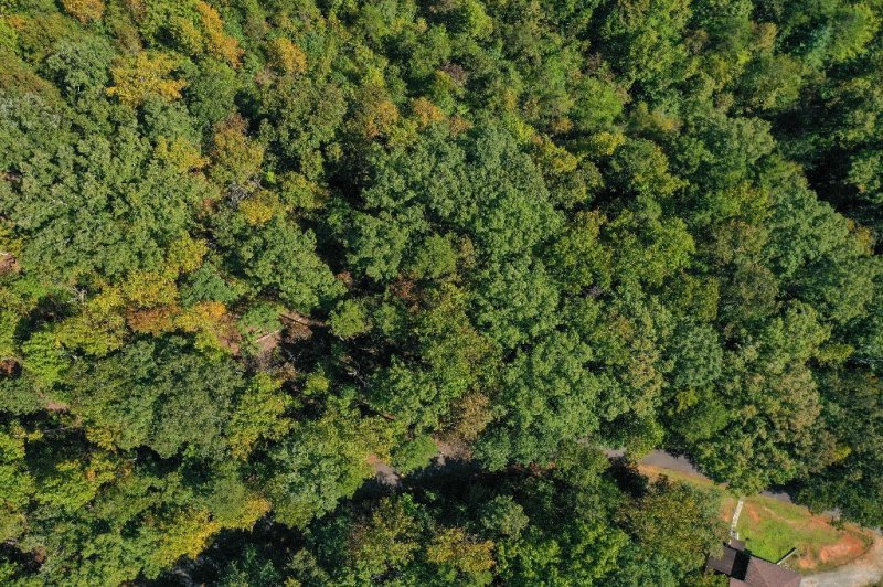 Property image 4 at 157 Summit Pine, Sunset, SC 29685