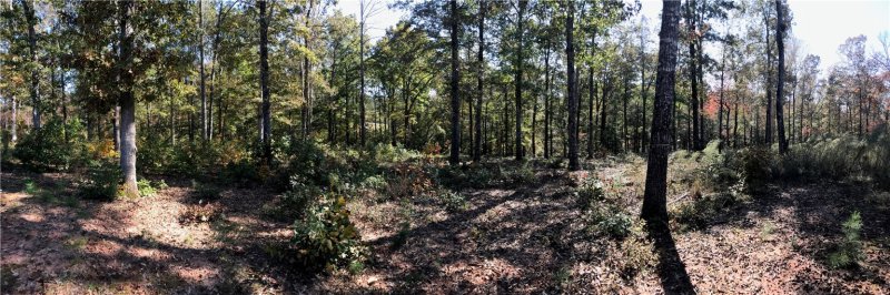 Property image 3 at Lot 64 Falling Waters Lane Lane, Seneca, SC 29672