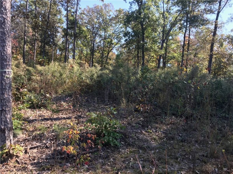 Property image 2 at Lot 67 Falling Waters Lane Lane, Seneca, SC 29672