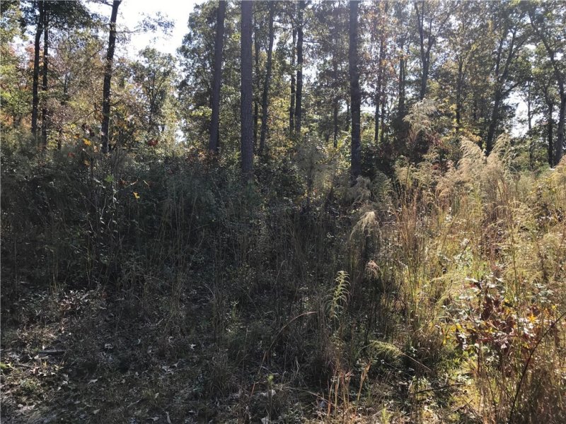 Property image 3 at Lot 67 Falling Waters Lane Lane, Seneca, SC 29672