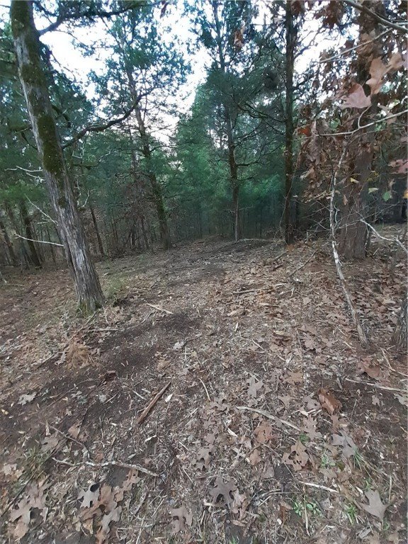 Property image 3 at Lot F Terrapin Pointe Road, Hodges, SC 29653