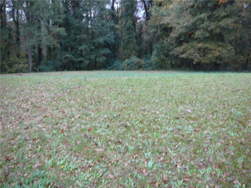 Property image 4 at 440 Horse Shoe Bend, Anderson, SC 29625