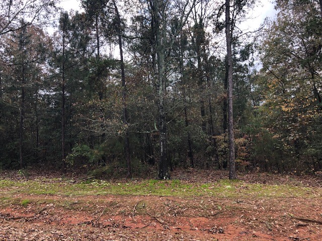 Property image 3 at 184 Seminole Point Road, Fair Play, SC 29643