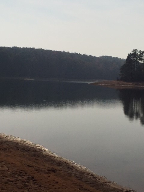 Property image 4 at 184 Seminole Point Road, Fair Play, SC 29643