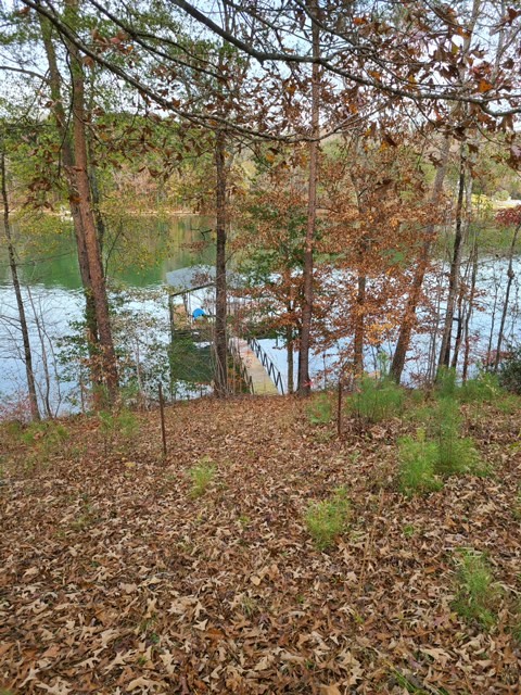 Property image 3 at 790 Hidden Falls Drive, West Union, SC 29696