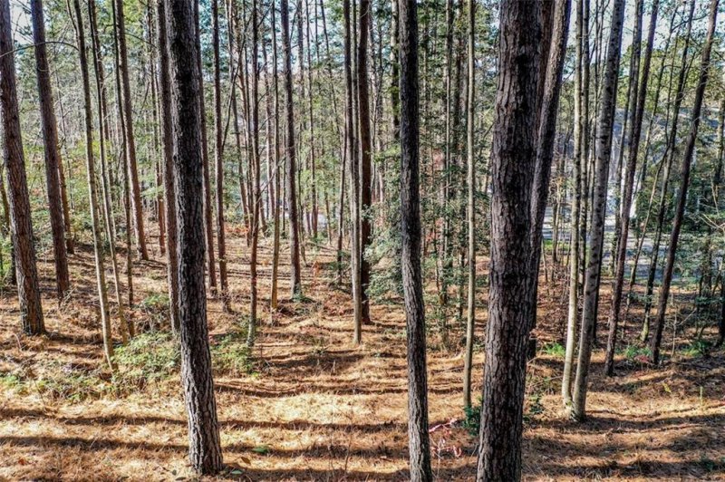 Property image 4 at 402 Windy Pines Lane, Seneca, SC 29672