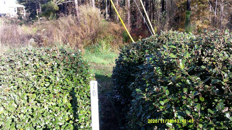 Property image 2 at 00 McAlister Road, West Union, SC 29696