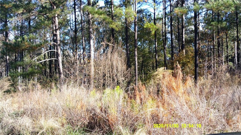 Property image 5 at 00 McAlister Road, West Union, SC 29696