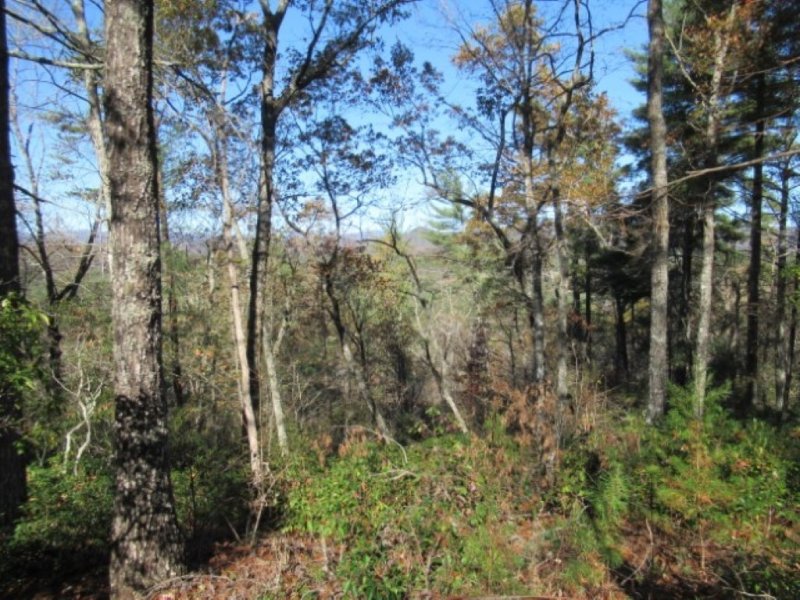 Property image 2 at 260 Eastatoe Parkway, Sunset, SC 29685