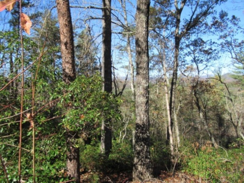 Property image 3 at 260 Eastatoe Parkway, Sunset, SC 29685