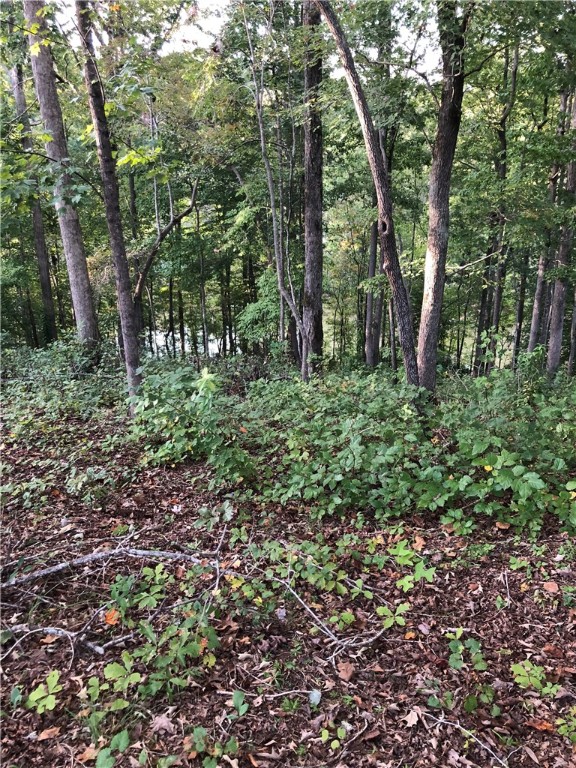 Property image 4 at 153 Waters Edge Lane, West Union, SC 29696