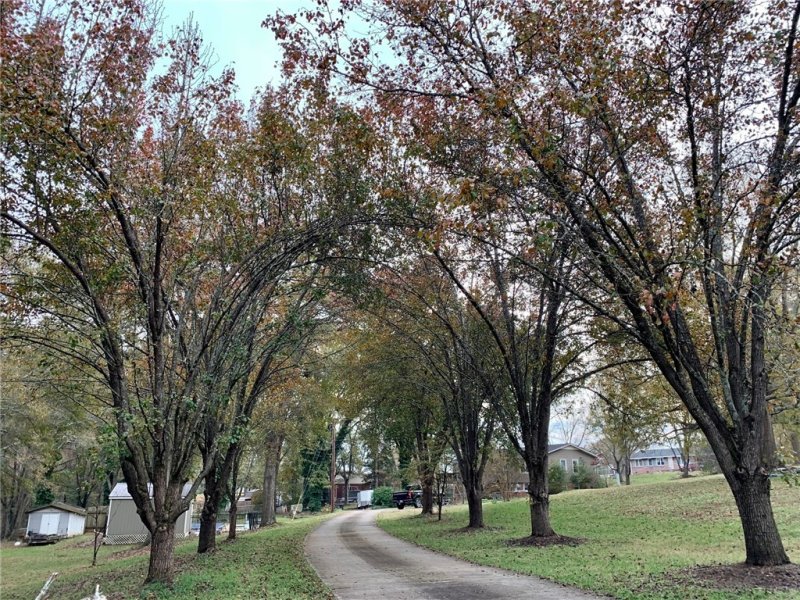 Property image 2 at 407 Jasmin Drive, Anderson, SC 29626