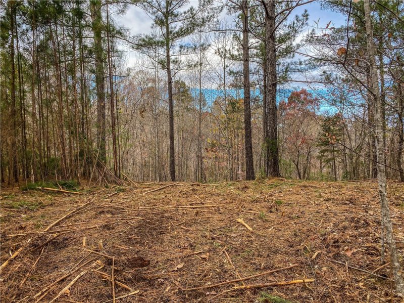 Property image 2 at 328 Knollwood Drive, Salem, SC 29676