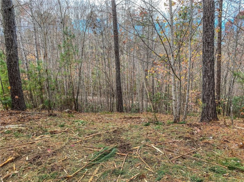 Property image 3 at 328 Knollwood Drive, Salem, SC 29676