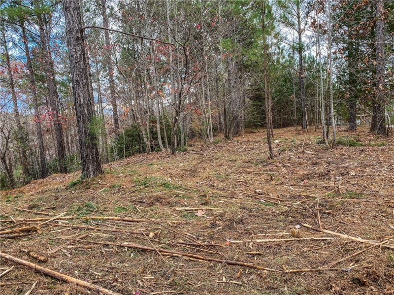 Property image 4 at 328 Knollwood Drive, Salem, SC 29676