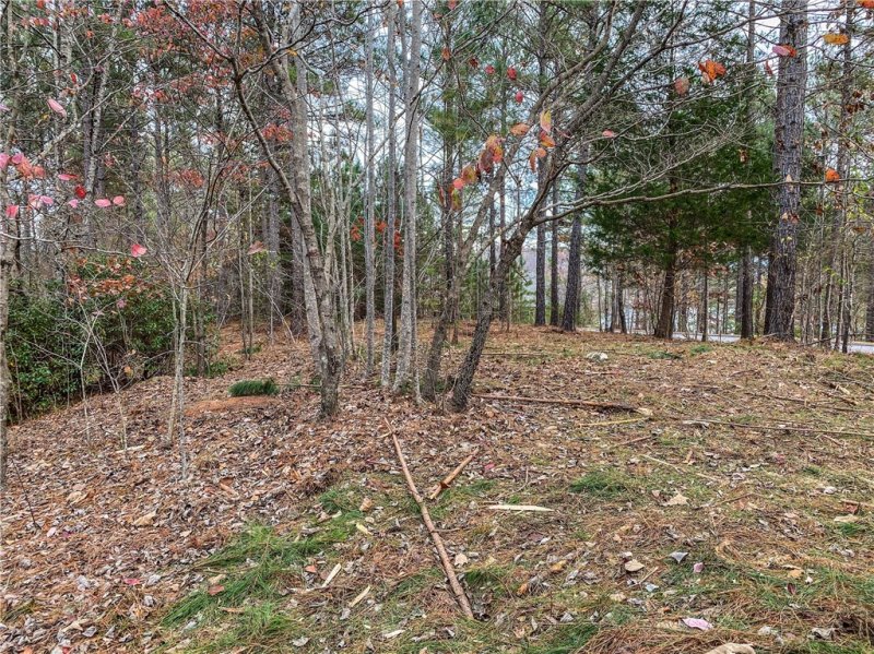 Property image 5 at 328 Knollwood Drive, Salem, SC 29676