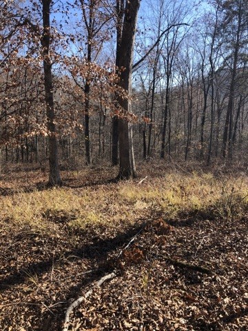 Property image 2 at 270 Serenity Drive, Pickens, SC 29671