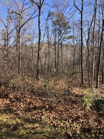 Property image 4 at 270 Serenity Drive, Pickens, SC 29671