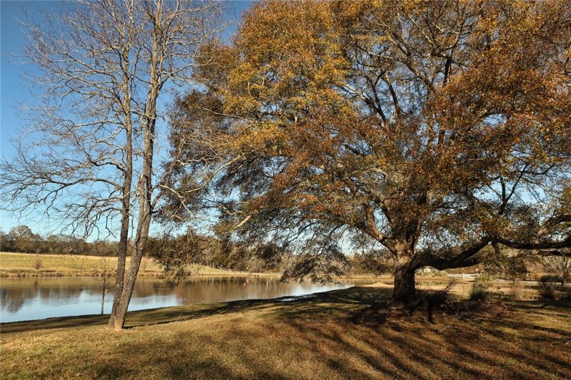 Property image 3 at 217 Blue Barker Road, Honea Path, SC 29654